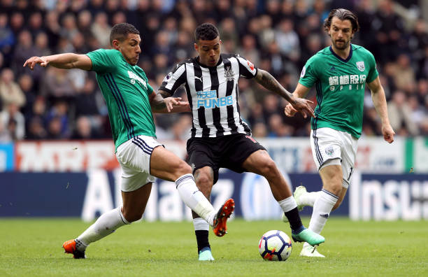 雄的表现夺 雄的表现夺